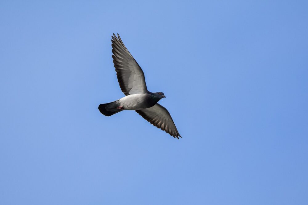 ベストなブログの更新頻度｜まとめ